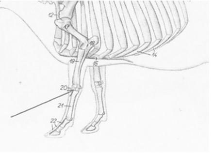 Ilustracja do pytania 163