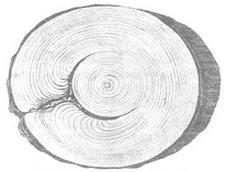 Ilustracja do pytania 263