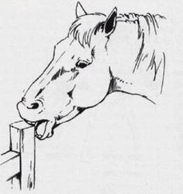 Ilustracja do pytania 86