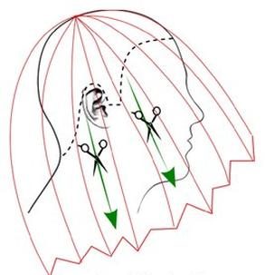 Ilustracja do pytania 105