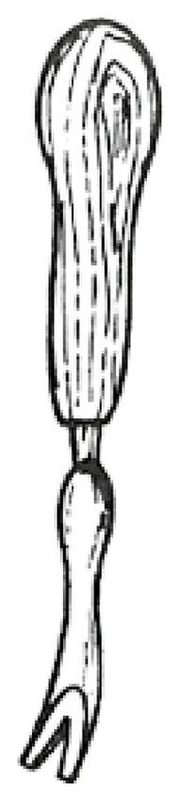 Ilustracja do pytania 46