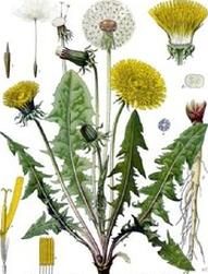 Ilustracja do pytania 20