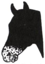Ilustracja do pytania 186