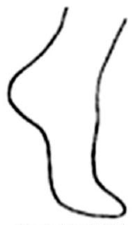 Ilustracja do pytania 194