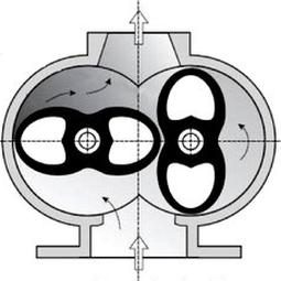 Ilustracja do pytania 308