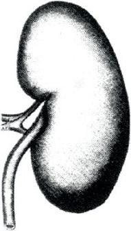 Ilustracja do pytania 180