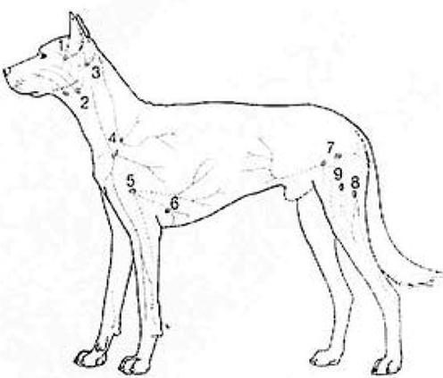 Ilustracja do pytania 294
