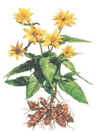 Ilustracja do pytania 326