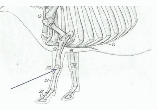 Ilustracja do pytania 27
