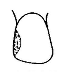 Ilustracja do pytania 223