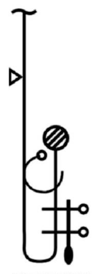 Ilustracja do pytania 520