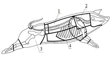 Ilustracja do pytania 386