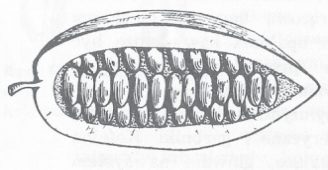 Ilustracja do pytania 342
