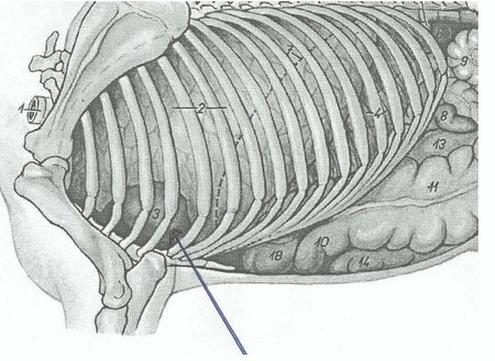 Ilustracja do pytania 714