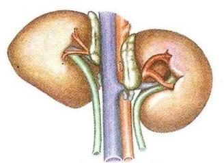 Ilustracja do pytania 565