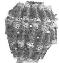 Ilustracja do pytania 1599