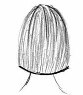 Ilustracja do pytania 454