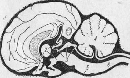 Ilustracja do pytania 198