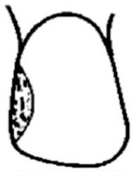 Ilustracja do pytania 328