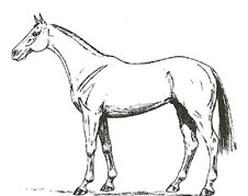 Ilustracja do pytania 235