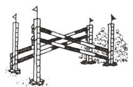 Ilustracja do pytania 161