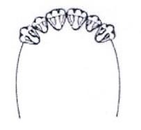 Ilustracja do pytania 33