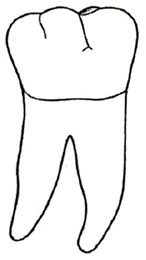 Ilustracja do pytania 476