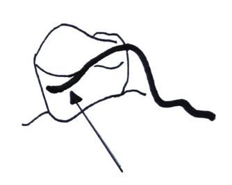 Ilustracja do pytania 296