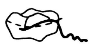 Ilustracja do pytania 190