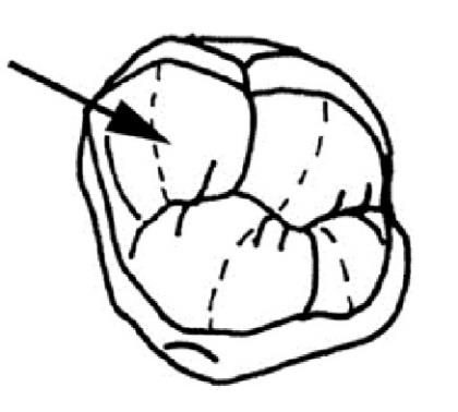 Ilustracja do pytania 329