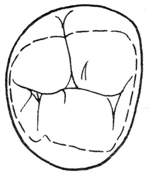 Ilustracja do pytania 277