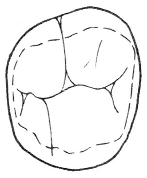 Ilustracja do pytania 277