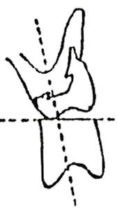 Ilustracja do pytania 69