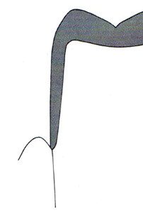 Ilustracja do pytania 470