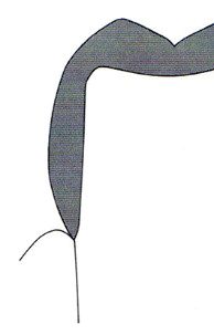 Ilustracja do pytania 470