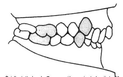 Ilustracja do pytania 182