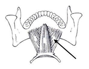 Ilustracja do pytania 131