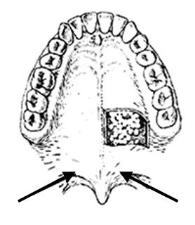 Ilustracja do pytania 260