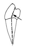 Ilustracja do pytania 229