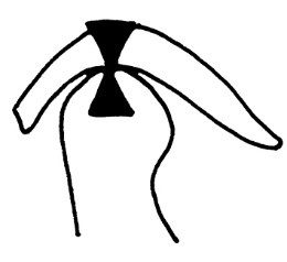 Ilustracja do pytania 298