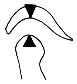 Ilustracja do pytania 298