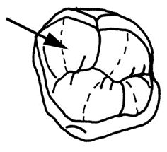 Ilustracja do pytania 38