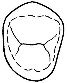 Ilustracja do pytania 5