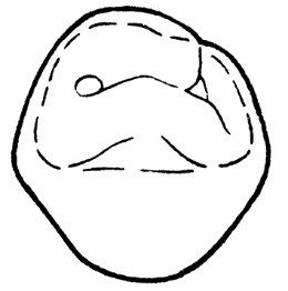 Ilustracja do pytania 5