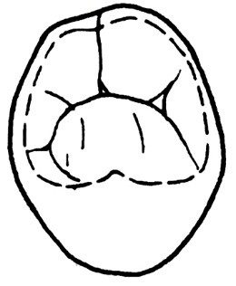 Ilustracja do pytania 5