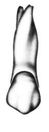 Ilustracja do pytania 227
