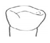 Ilustracja do pytania 271