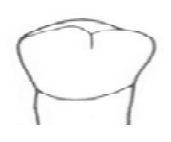 Ilustracja do pytania 271