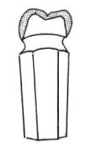 Ilustracja do pytania 235