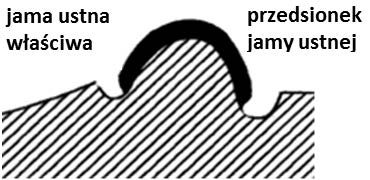 Ilustracja do pytania 35